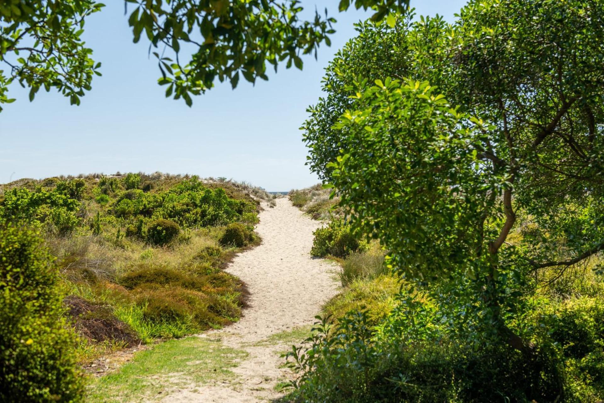 Ocean Beach Getaway Mount Maunganui Buitenkant foto